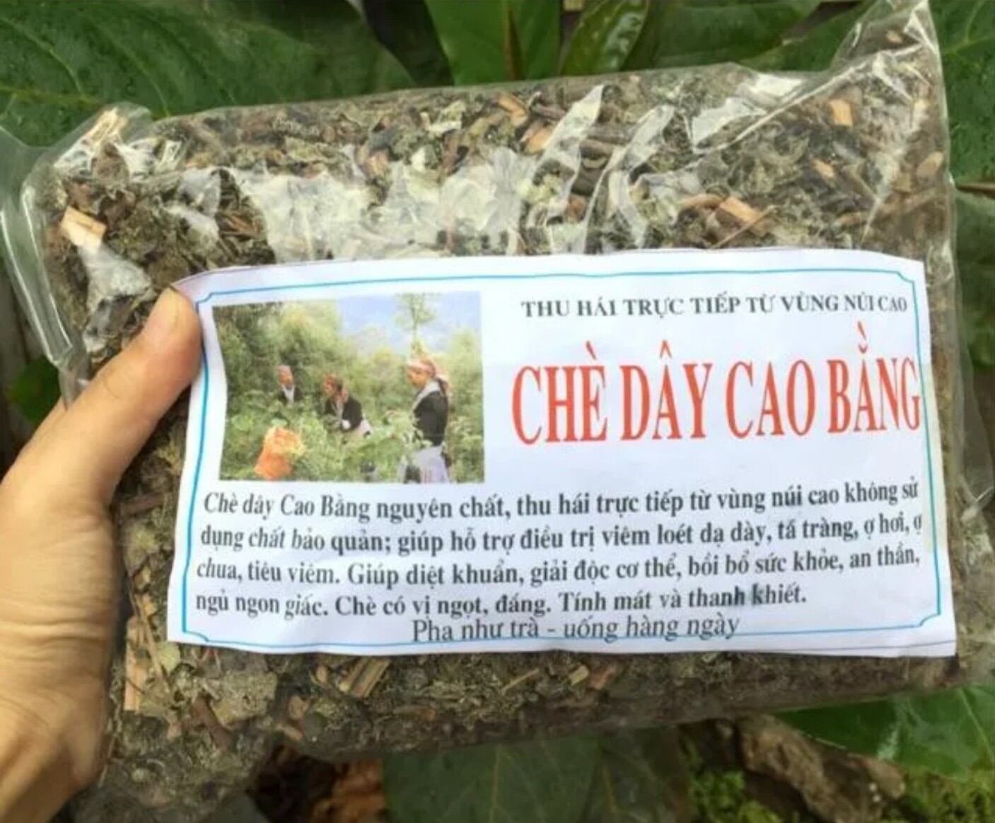 Chè dây cao bằng loại 1 chuẩn 1 kg