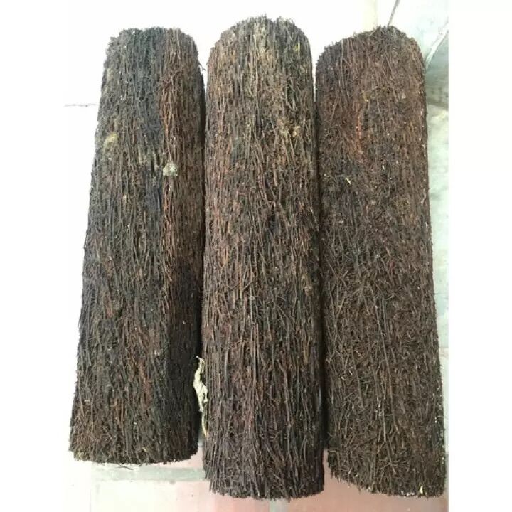 Dớn trụ trồng lan kích cỡ 40x10cm