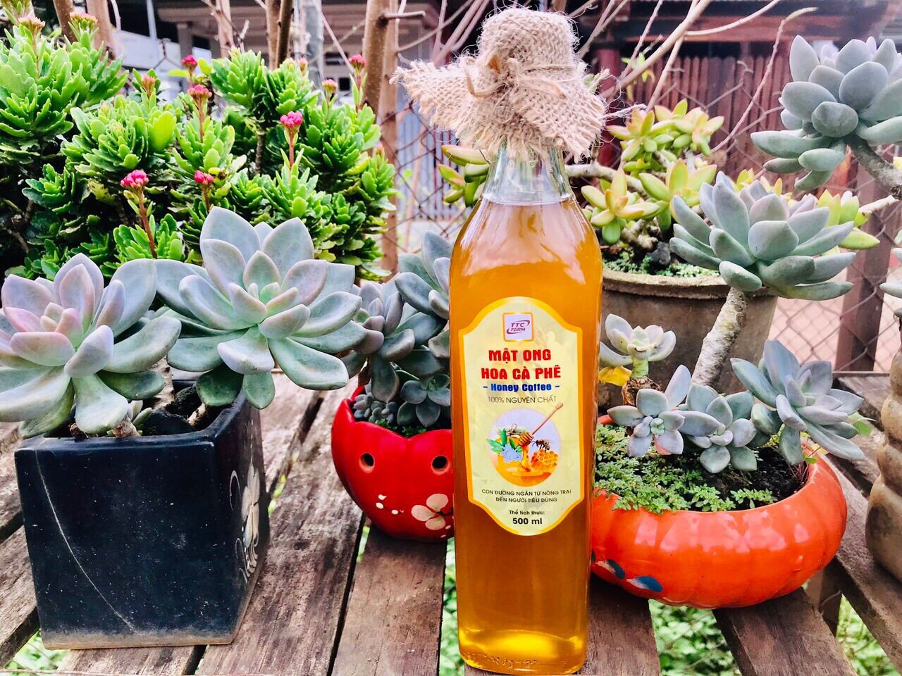 Mật ong hoa cà phê 500ml