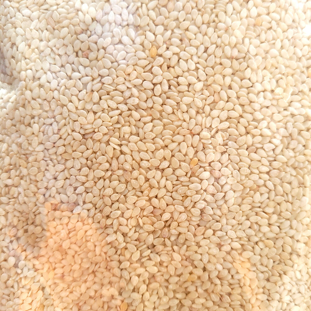 Túi 500gr hạt mè trắng hạt vừng trắng