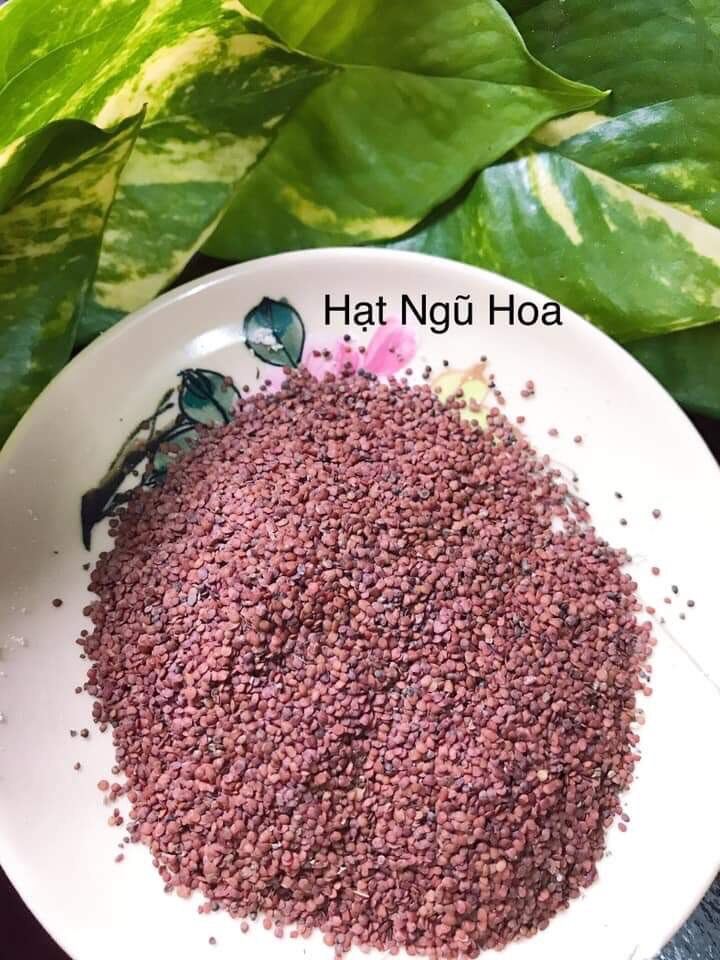 1kg hạt ngũ hoa hạt