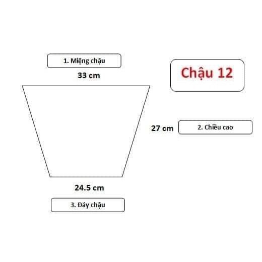 COMBO 5Cái Chậu đen dẻo C12 (loại dày tốt)