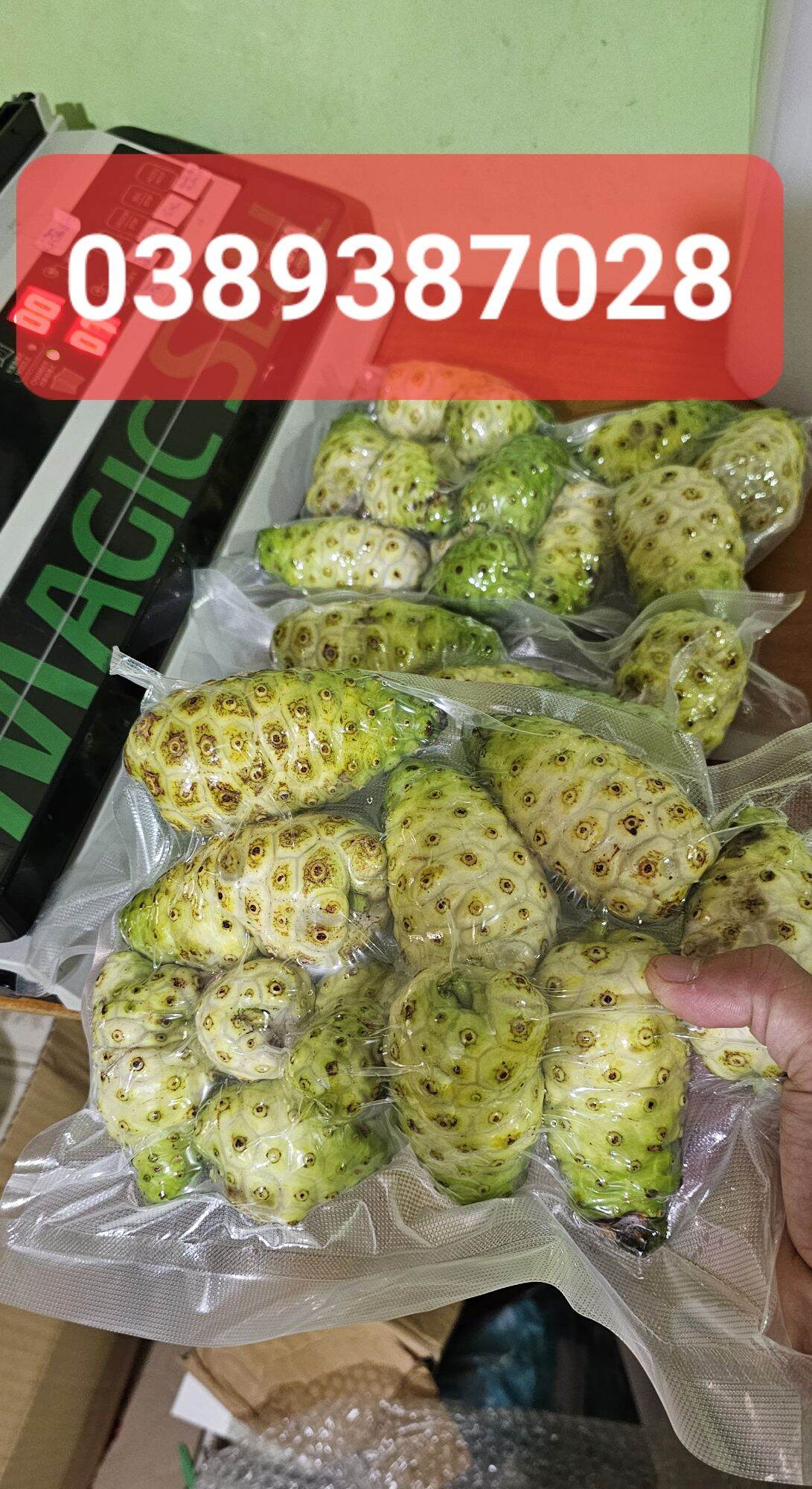Trái nhàu già hút chân không,1kg sạch sẽ thơm ngon