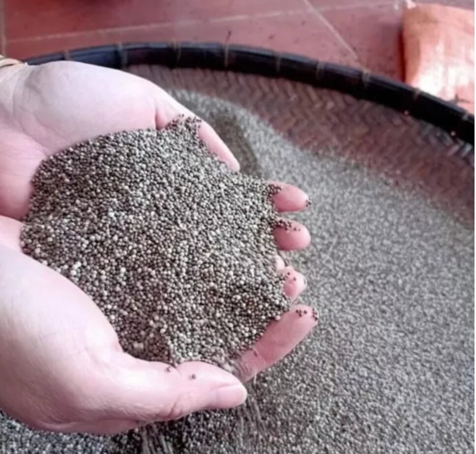 500g hạt vừng tròn