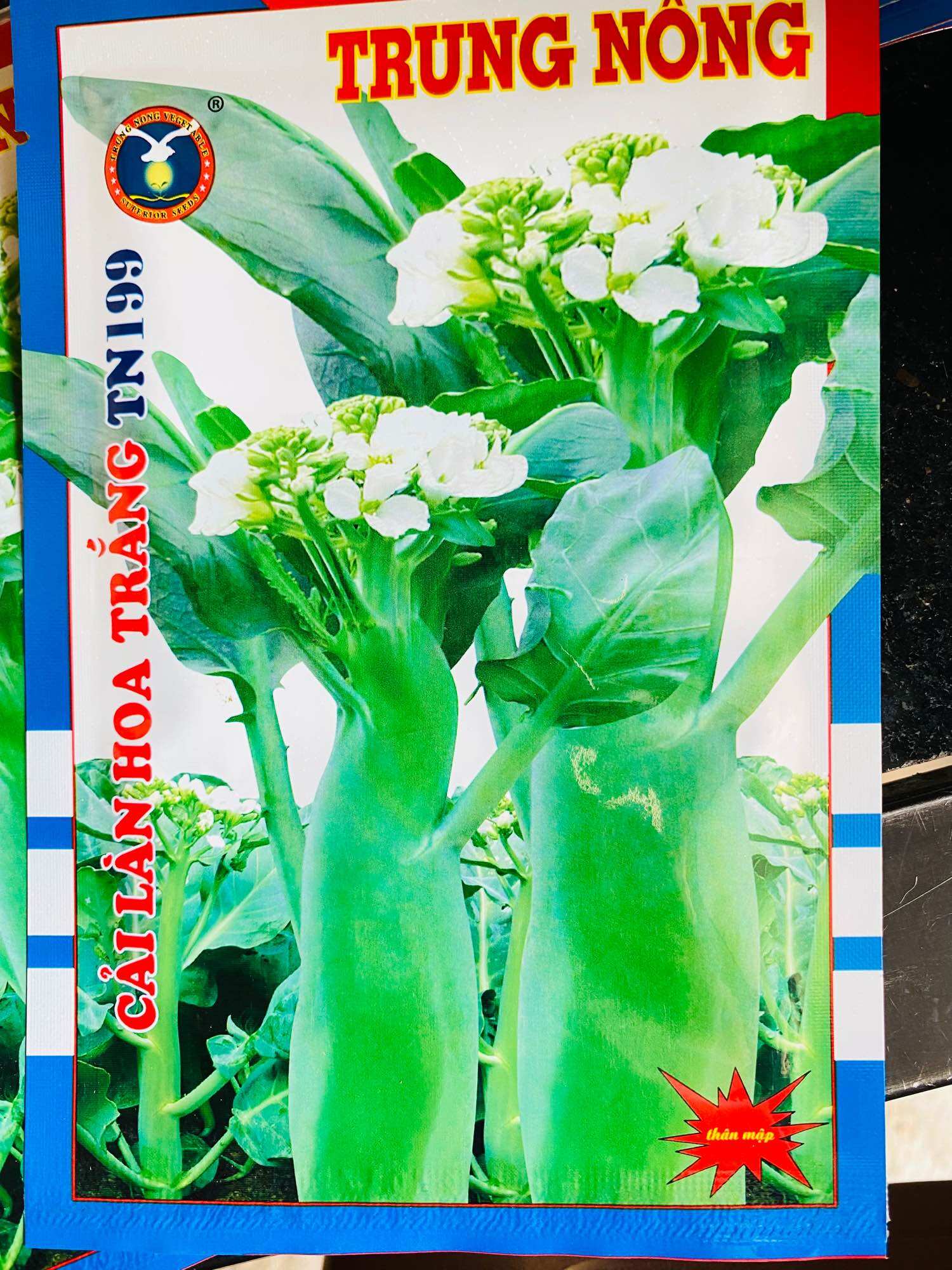 Hạt giống cải rổ ( cải làn ) thân mập dễ trồng gói 10gr