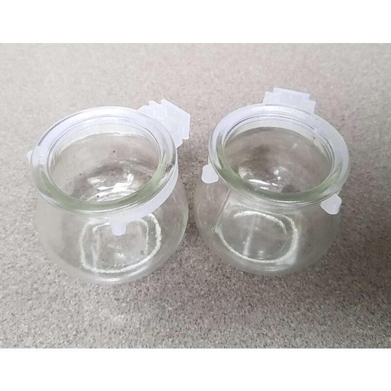 Cóng thủy tinh cho chim cu gáy (1 cái)