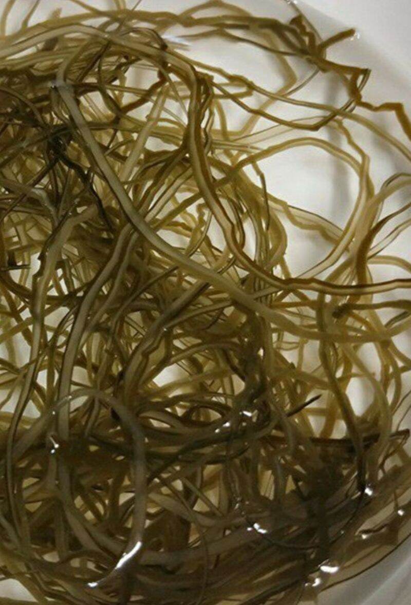 500g phổ tai (rong biển khô) nấu chè