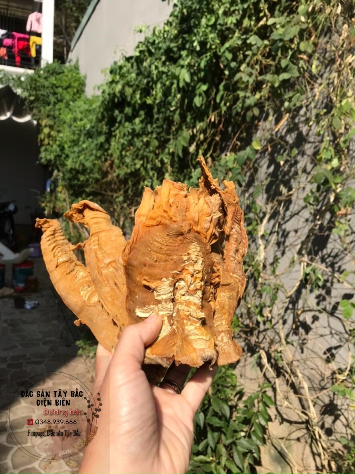 Măng khô tây bắc 1kg ( măng củ mầm đặc biệt )