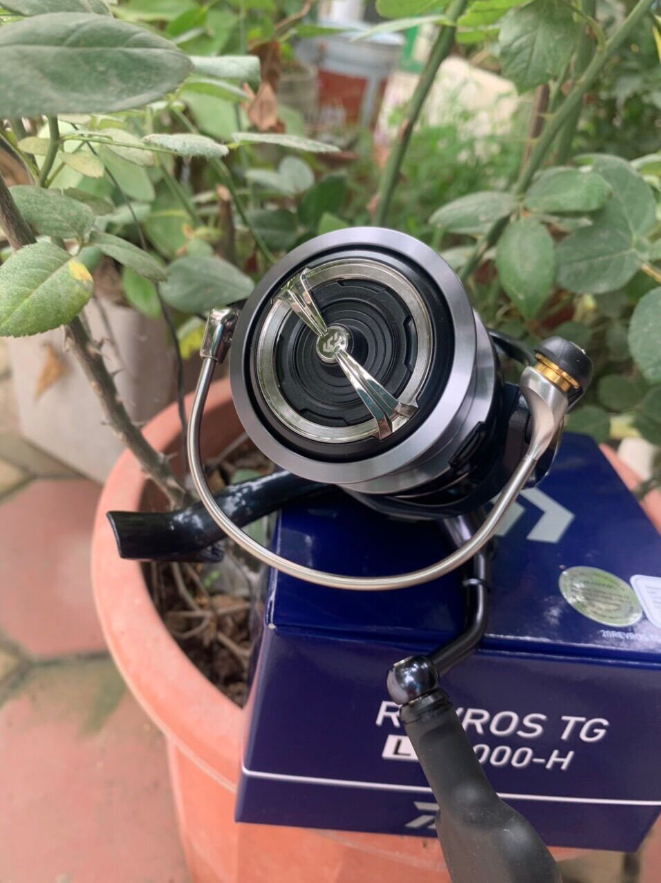 Máy câu Daiwa Revros TG
