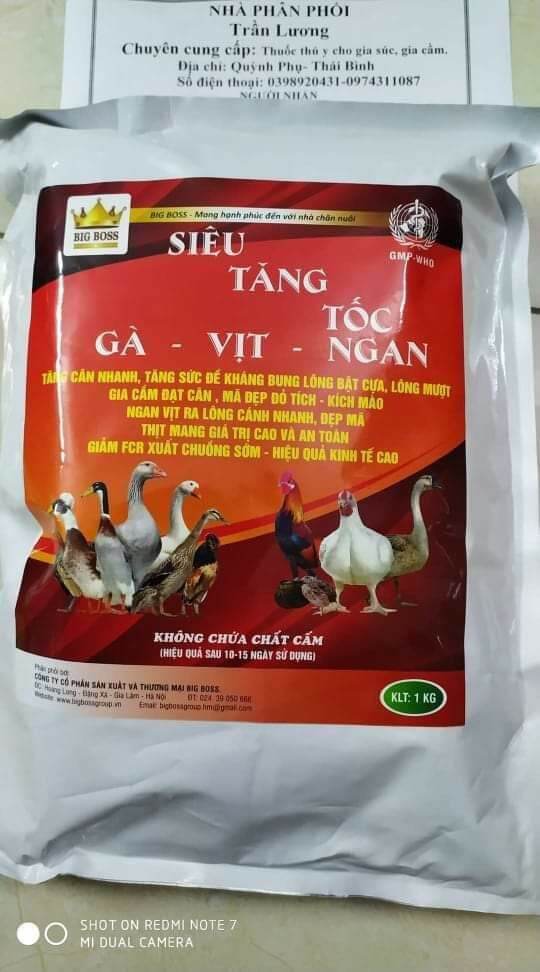 SIÊU TĂNG TỐC GÀ VỊT NGAN