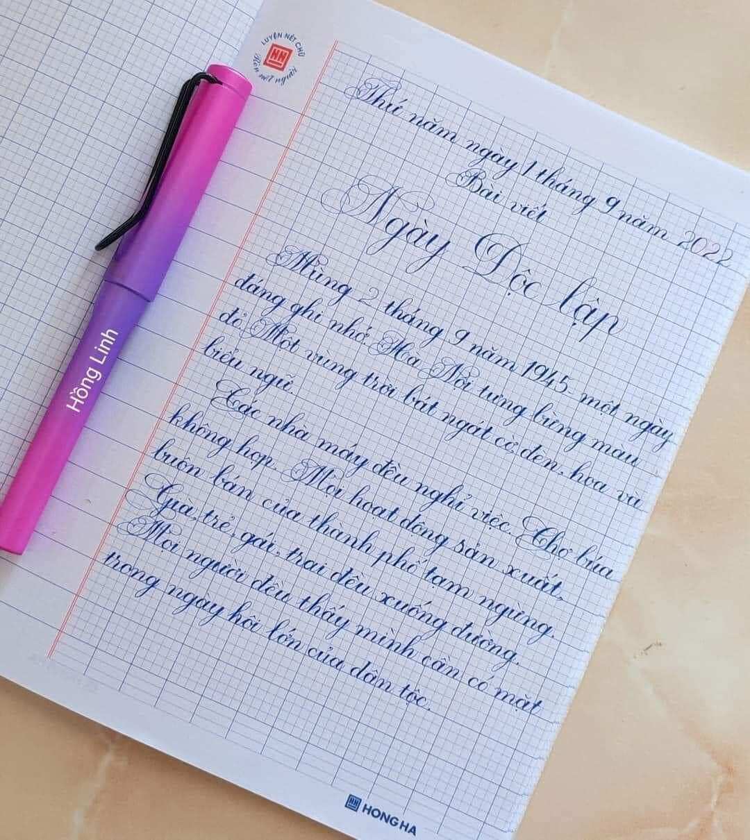 Bút máy Lêta 368 ⚡ Bút luyện chữ đẹp ⚡ Bút ngòi lá tre không rỉ, bút luyện calligraphy nét thanh nét đậm bút mực