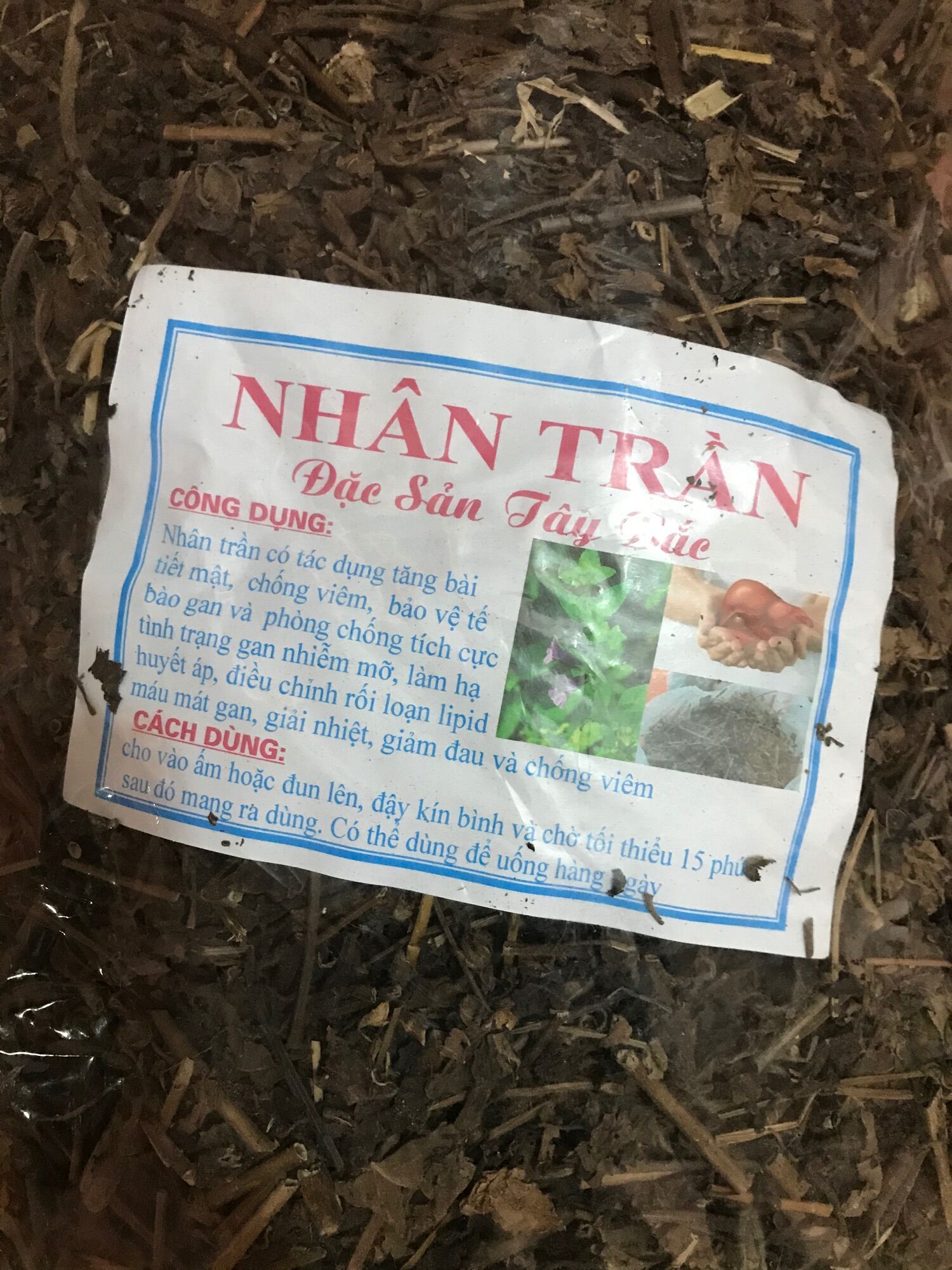 1 kg nhân trần khô, ngọt, thơm- Đặc sản rừng Tây Bắc