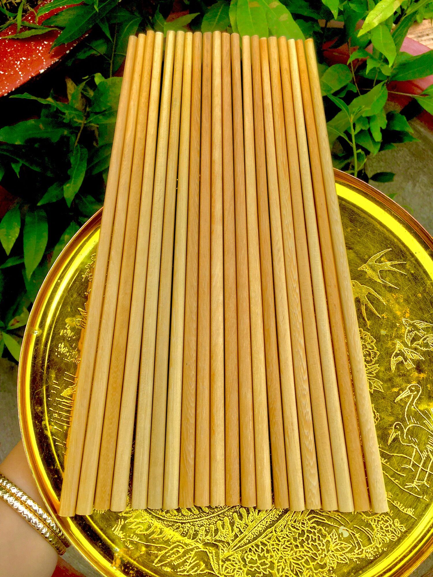 Đũa ổi rừng 10 đôi herbe nguyễn shop