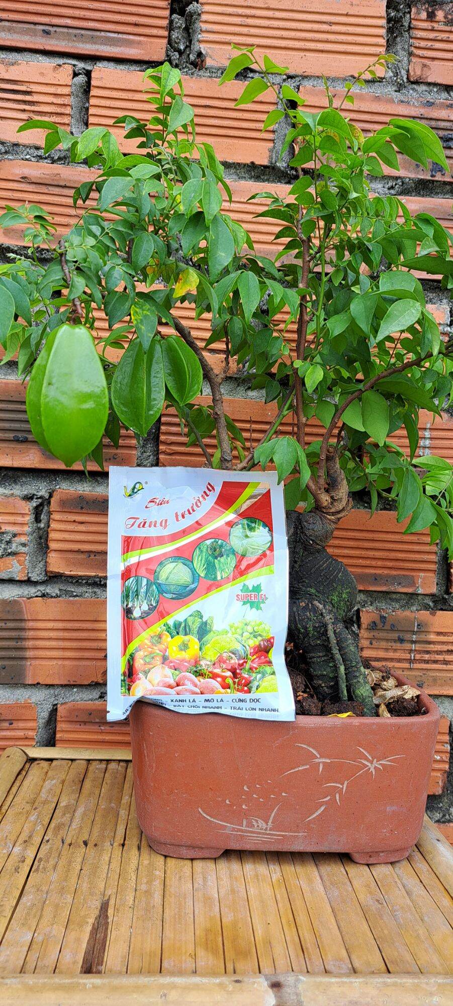 PHÂN BÓN MAGIE NITRAT 100g(siêu tăng trưởng)
