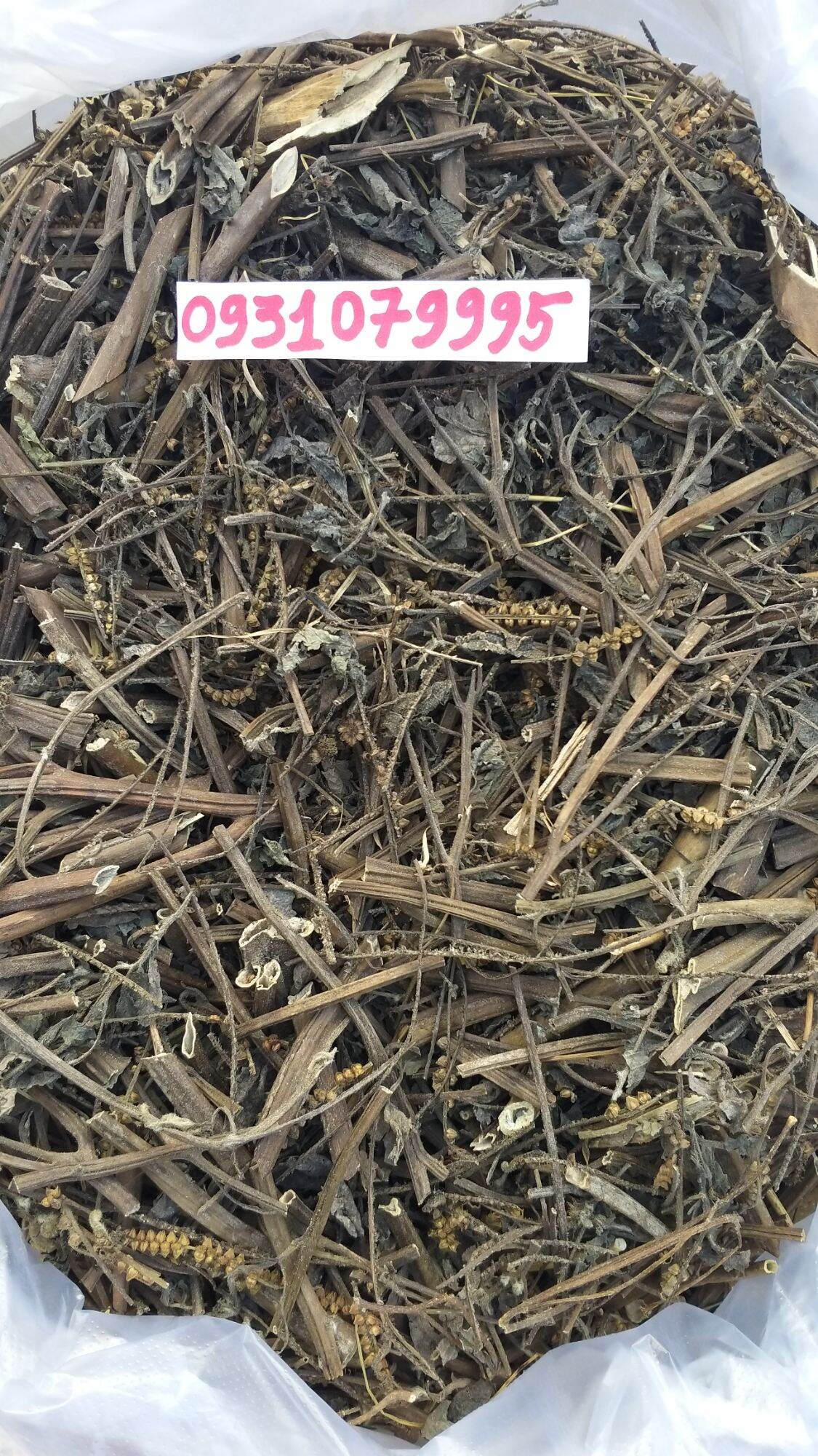 Cây vòi voi phơi khô 1kg
