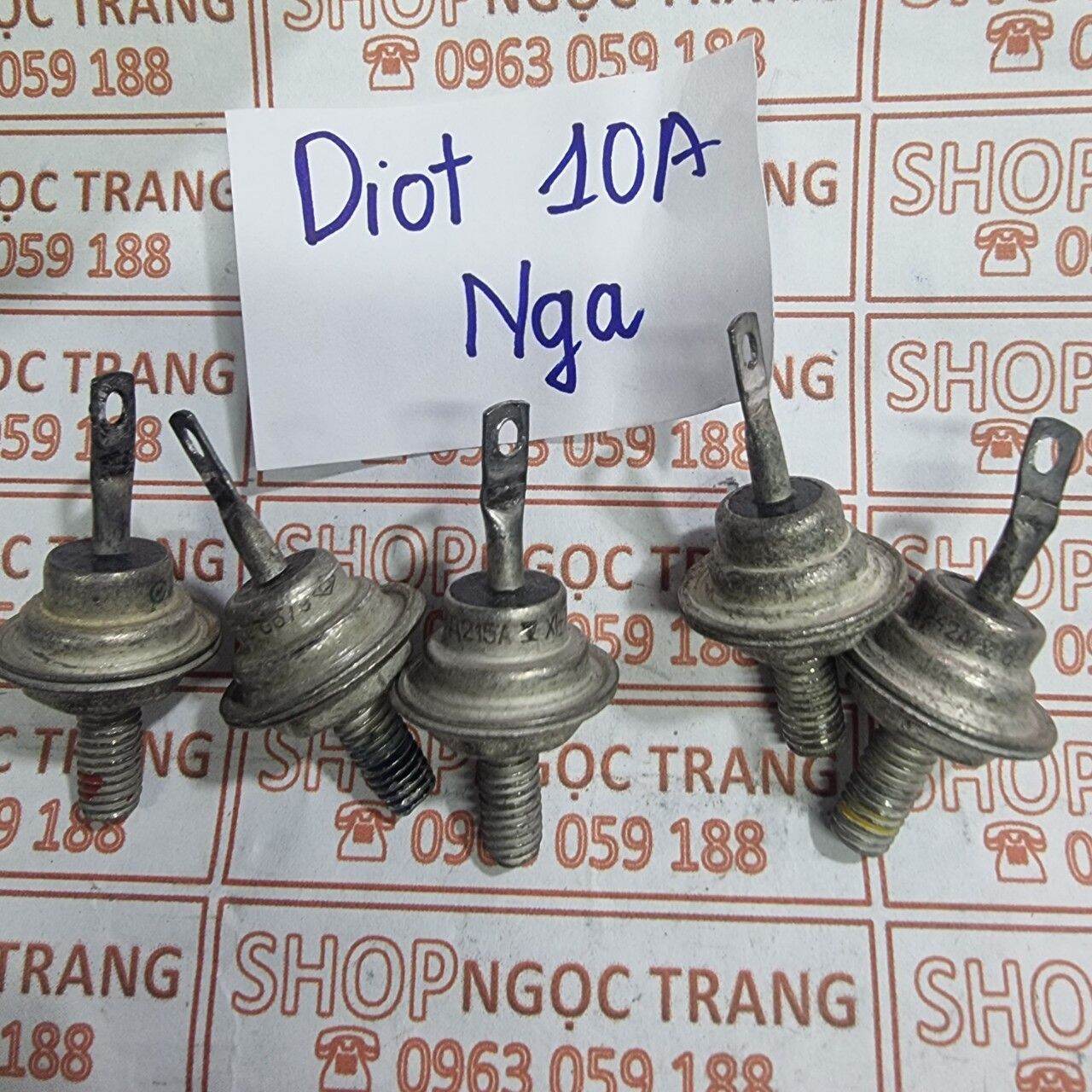 Diot Nga 10A - Giá  1 Cái
