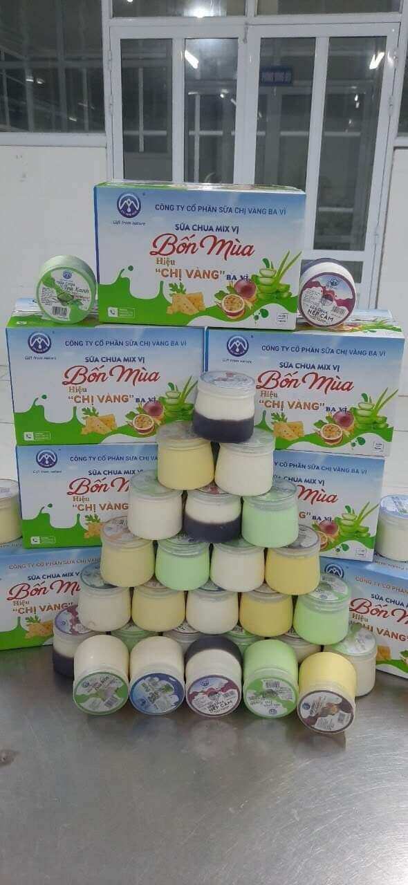 EM VỀ SẴN 500 thùng sữa chua nếp cẩm ba vì chị vàng đủ các vị sữa chua nếp cẩm sữa chua nha đam sữa chua mic vị bốn mùa sữa chua phô mai sữa caremen sữa chua chanh Leo                                                                 sữa chua trà xanh đồng