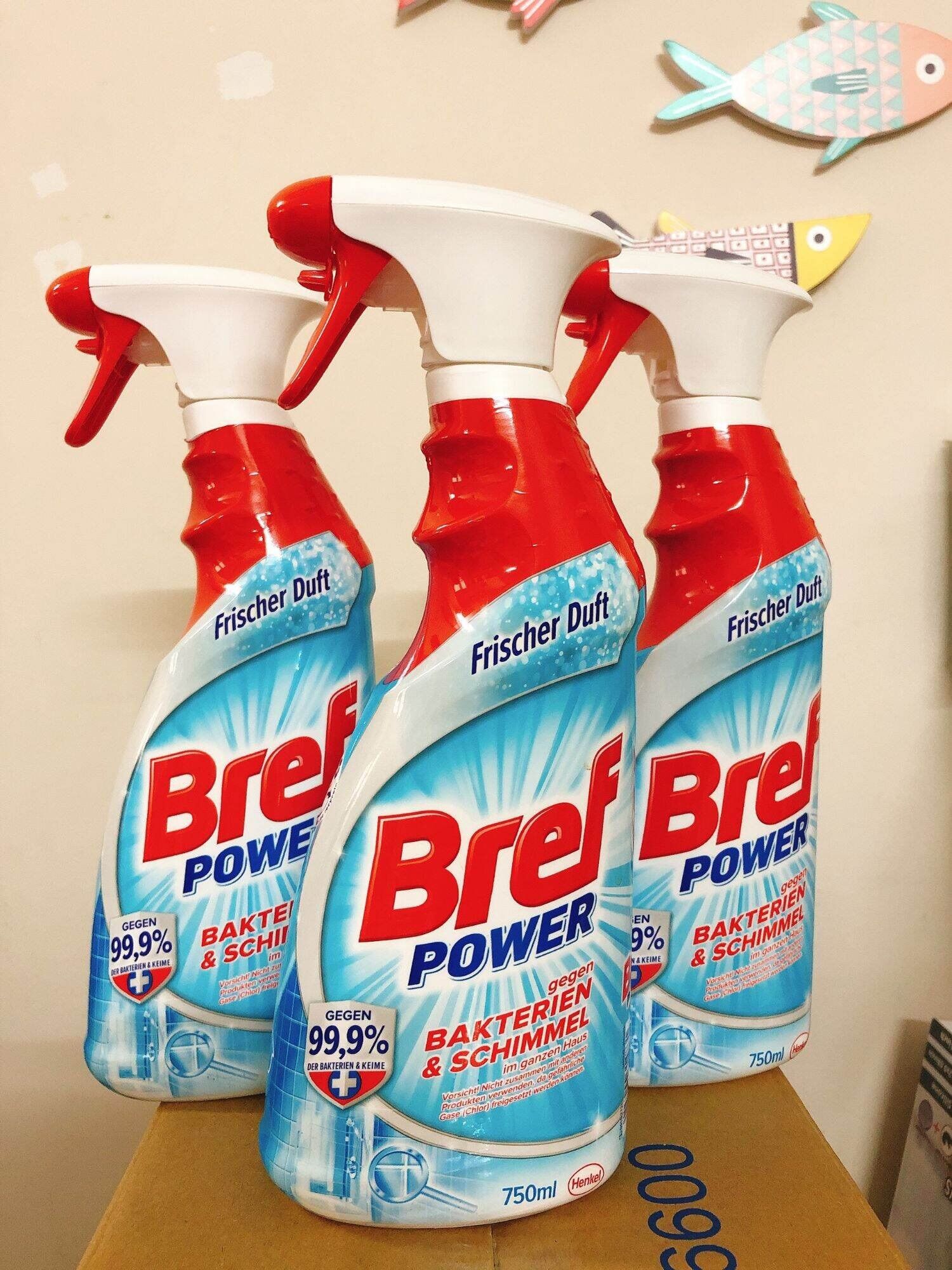 Nước xịt tẩy rửa đa năng BREF POWER 750ml (tẩy nấm mốc, diệt khuẩn)