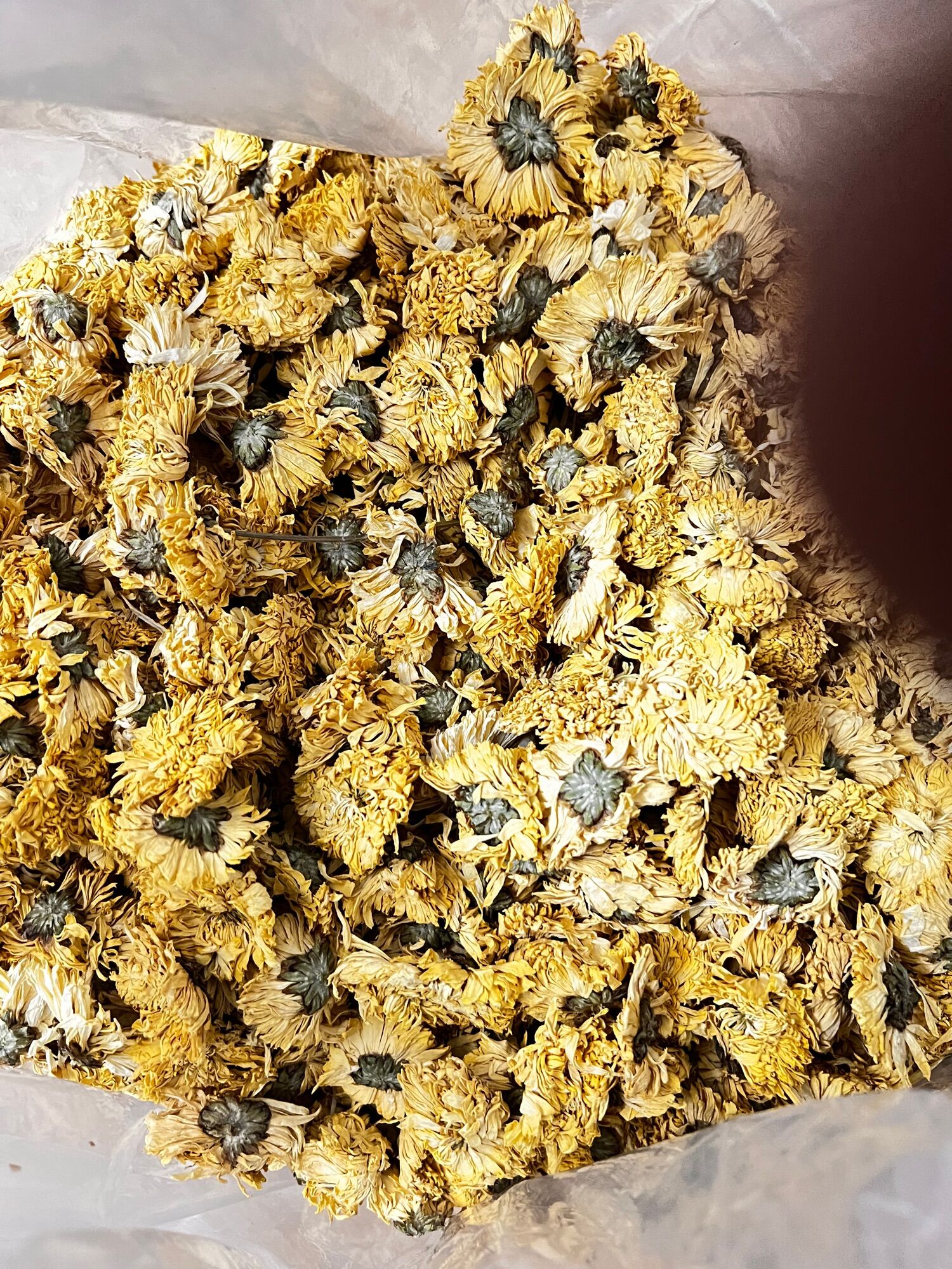 [HCM]Trà Hoa Cúc Vàng Xấy Khô 100g