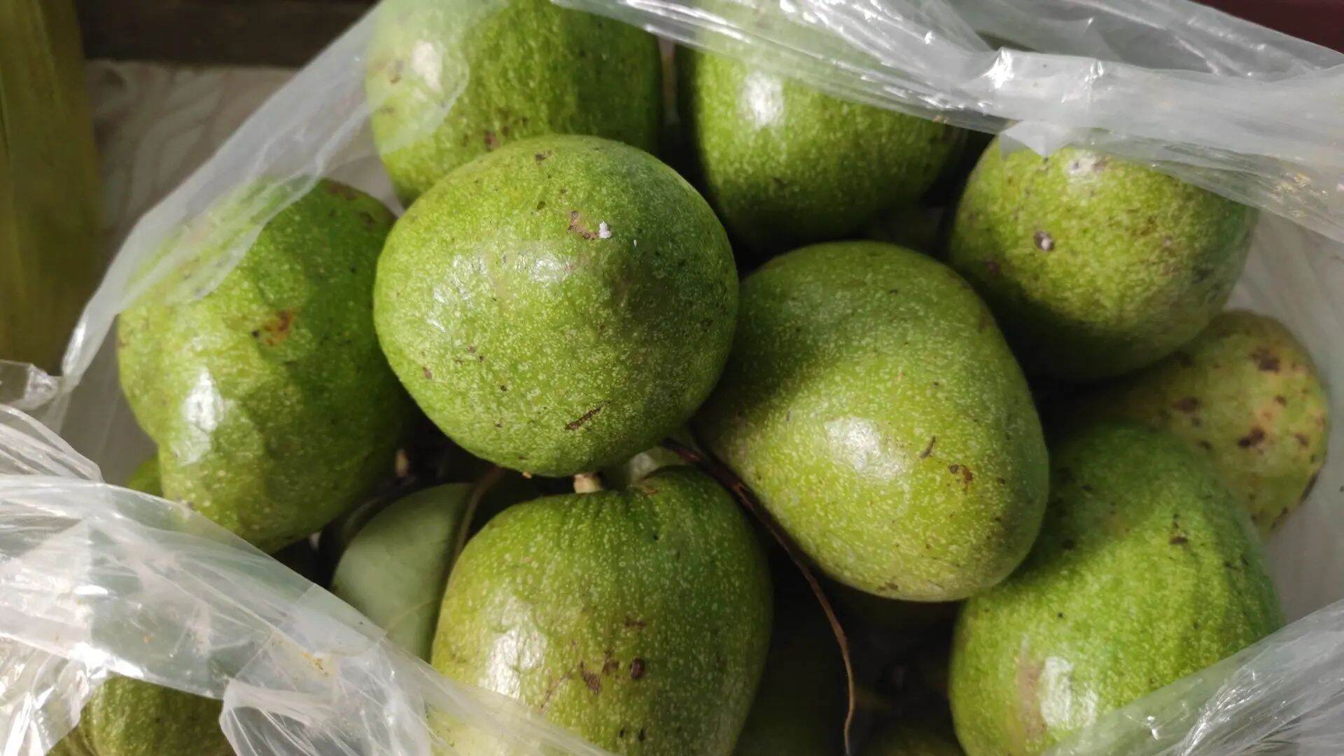 1kg quả bình bát xanh
