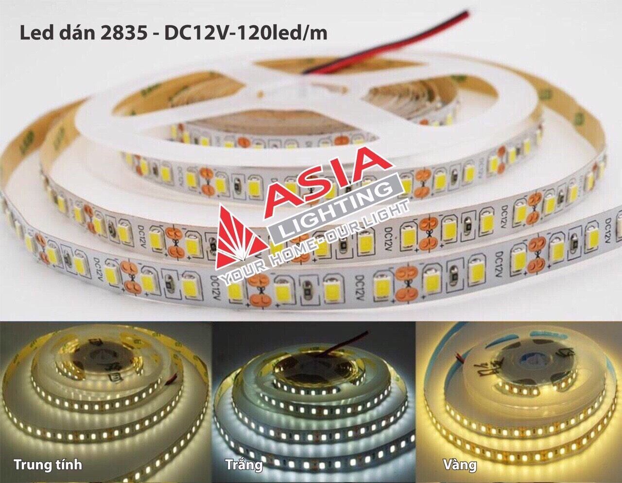 Cuộn led  5m dây dán 12V 2835 - 120 chip led ASIA