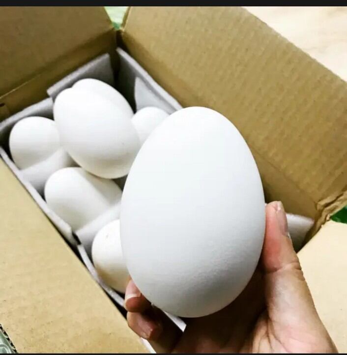 Trứng ngỗng vườn nhà sạch tốt. 1 trứng