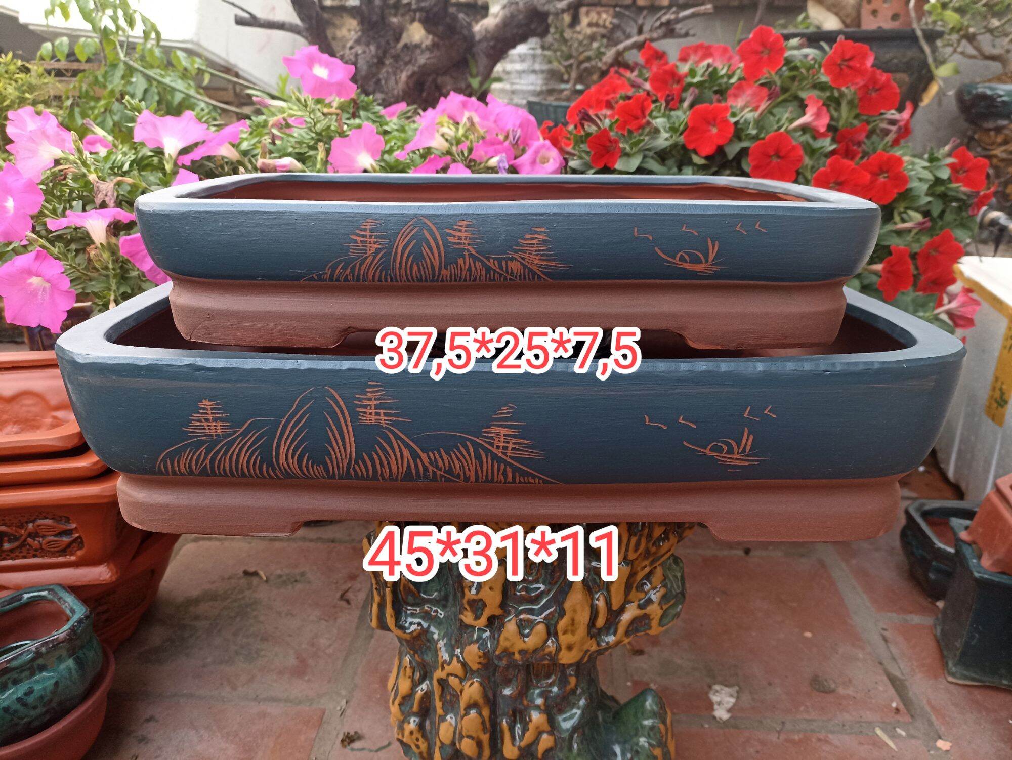 Ang, chậu chữ nhật bonsai mẫu Tàu