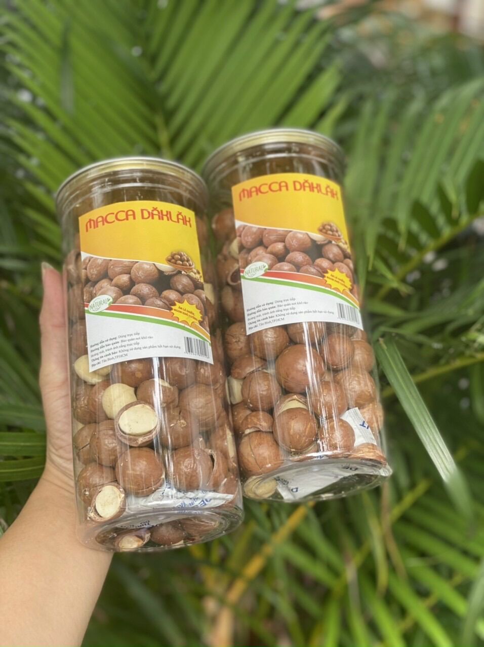 Hạt Macca Dăk Lăk - Hộp dinh dưỡng 500gr