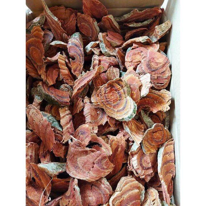 Cây cỏ máu phơi khô (huyết đằng) chuẩn quảng bình.