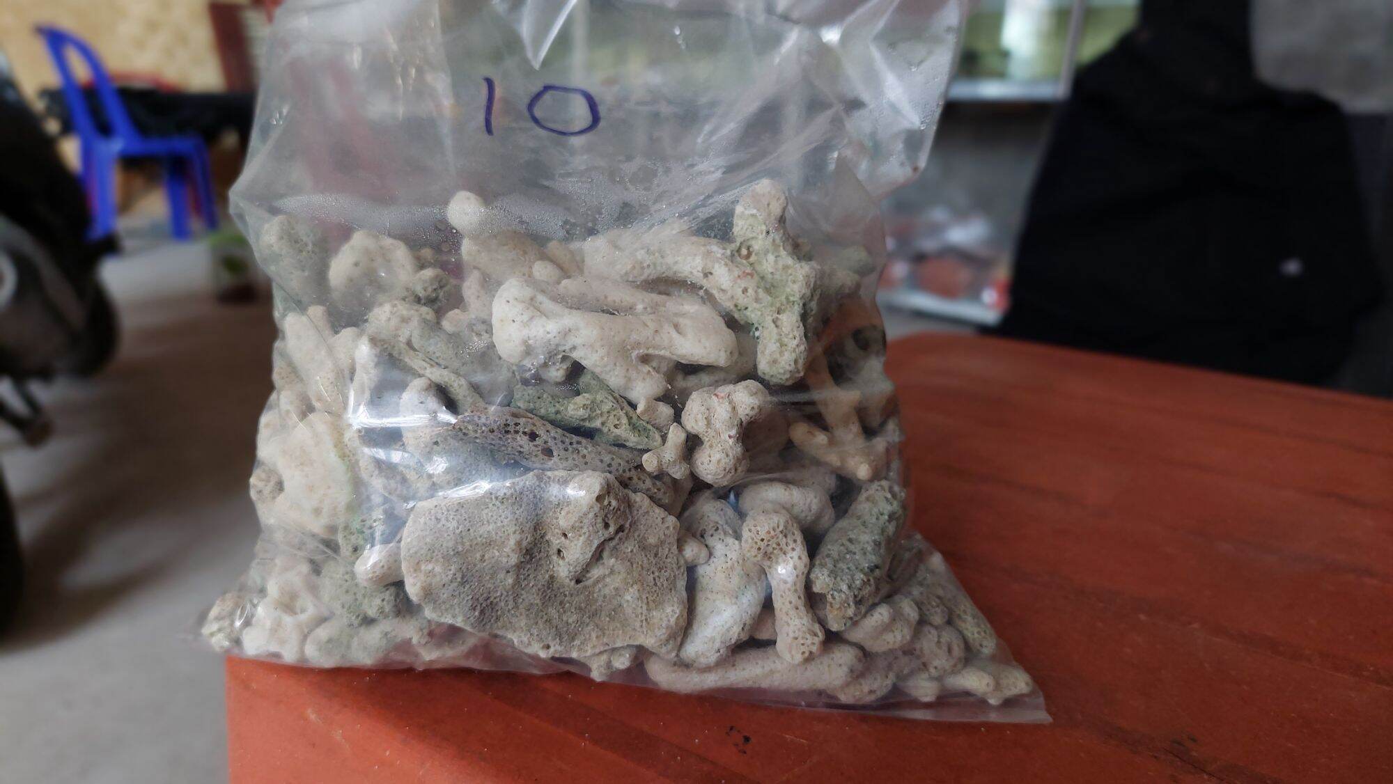San hô Vụn 1kg