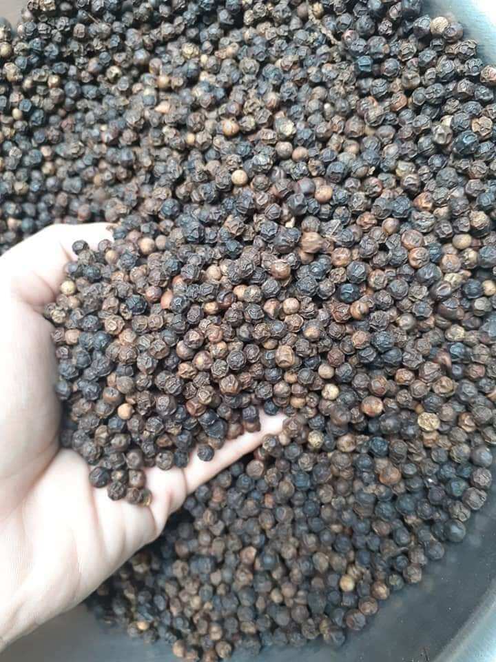 Hạt tiêu đen Đăk Lăk khô 100g
