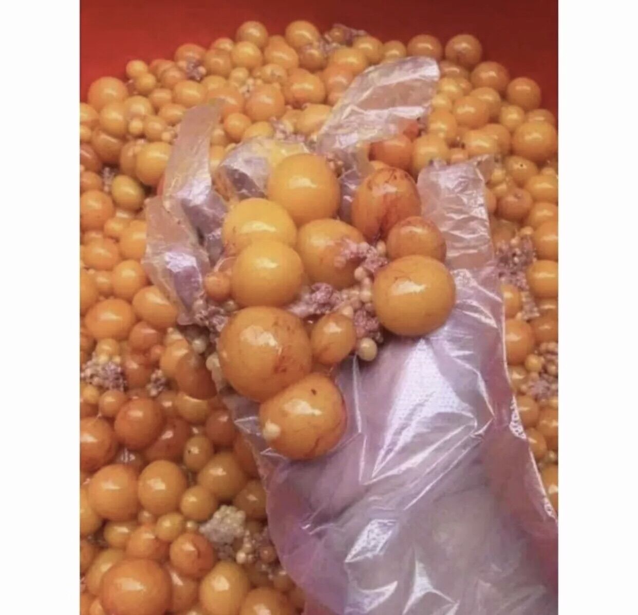 1KG TRỨNG GÀ NON (ship hoả tốc hcm)