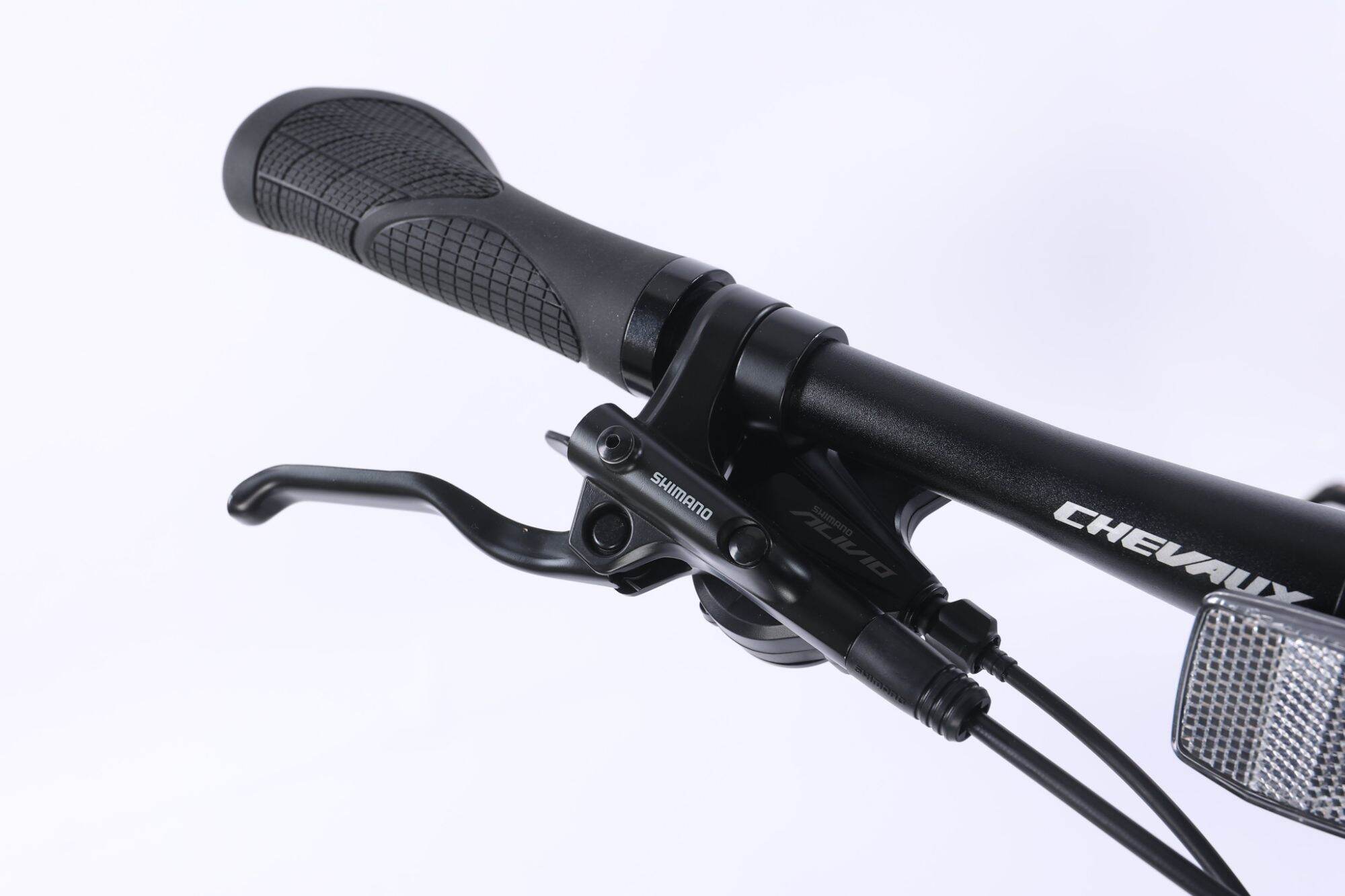 chevaux HK pro