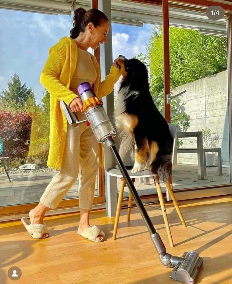 🇩🇪Hút bụi Dyson's V15 Detect Absolute -Model hút bụi mới nhất, xịn xò nhất của Dyson ra lò tháng 3/2021 về sẵn kho
👉Dòng máy này là model ra đời 2021 thay thế cho dòng V11 absolute, được trang bị động cơ mới, đầu hút Laser và đầu hút tóc, hút lông t
