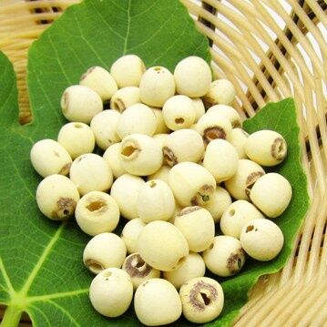 Hạt sen trắng nấu chè , nấu cháo..100g - ảnh sản phẩm 2
