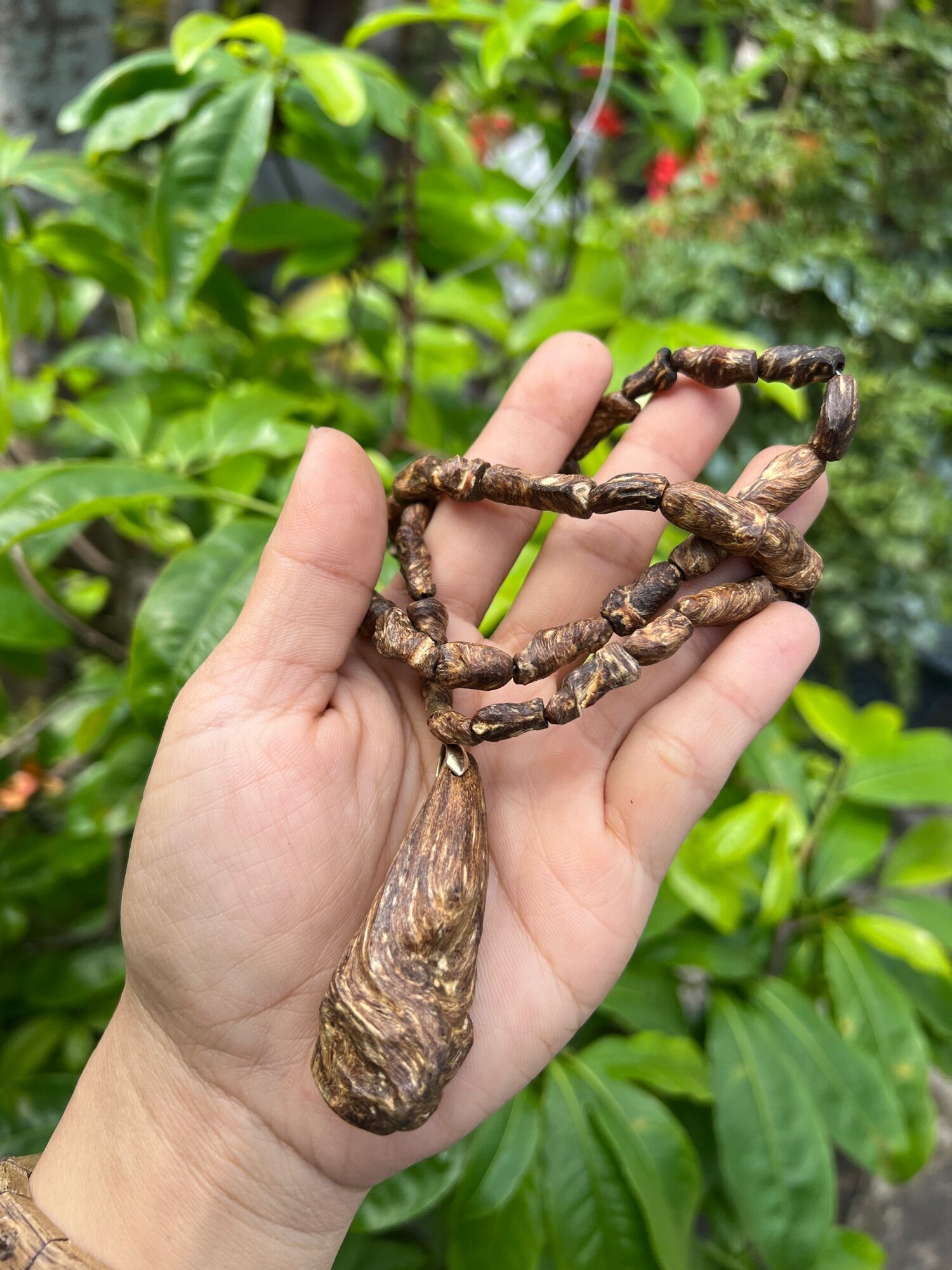Mắc tử chìm. THƠM VĨNH VIỄN