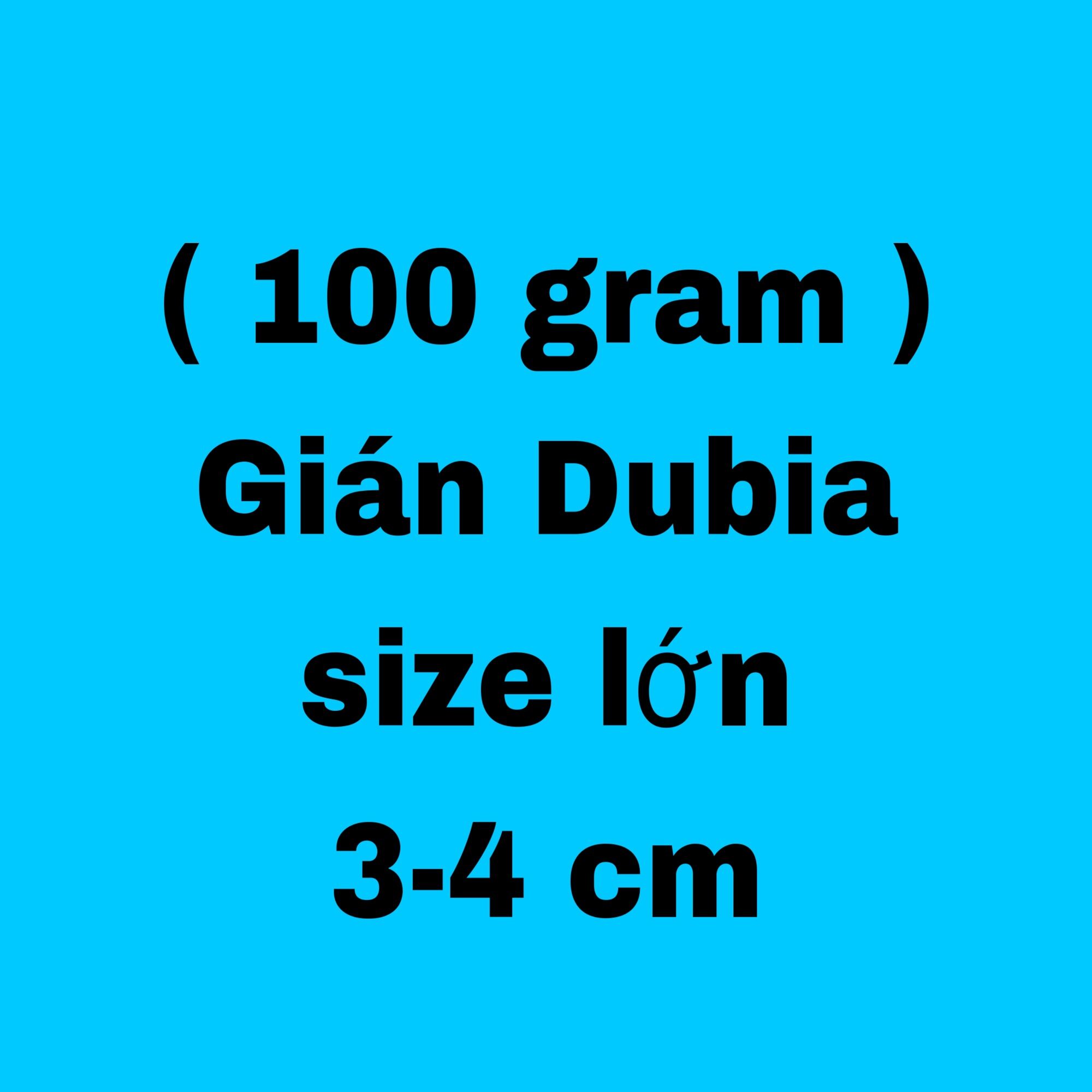 Gián Dubia size lớn 3-4cm. 100 gram