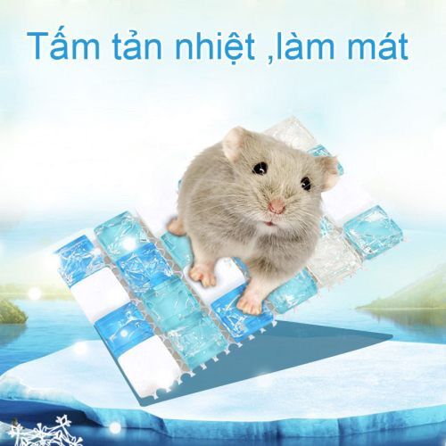 Thảm đá tản nhiệt cho Hamster