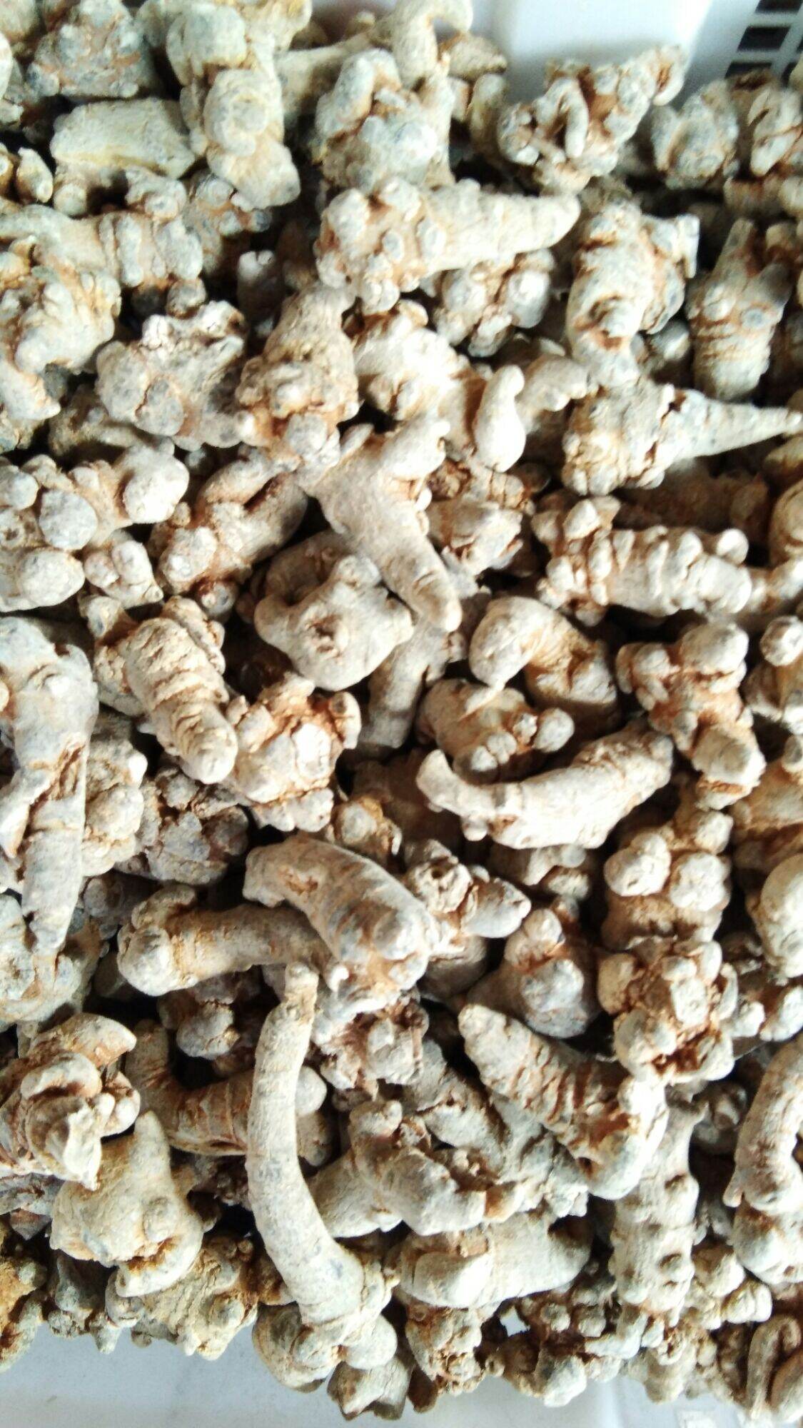 200g củ tam thất