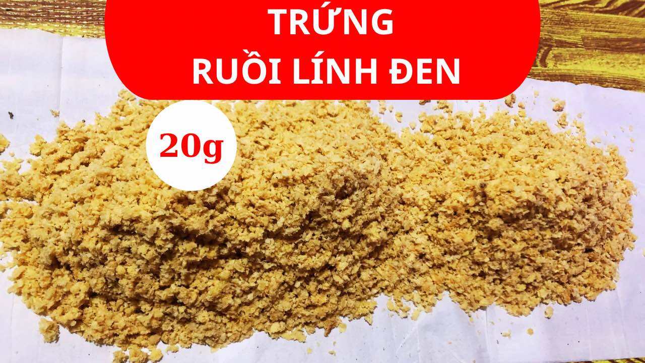 Trứng sâu canxi, ruồi lính đen 20 gram