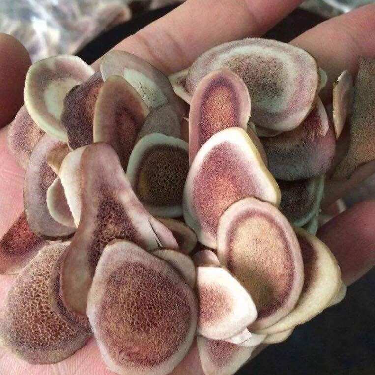 Nhung hươu khô thái lát 50g - 100g