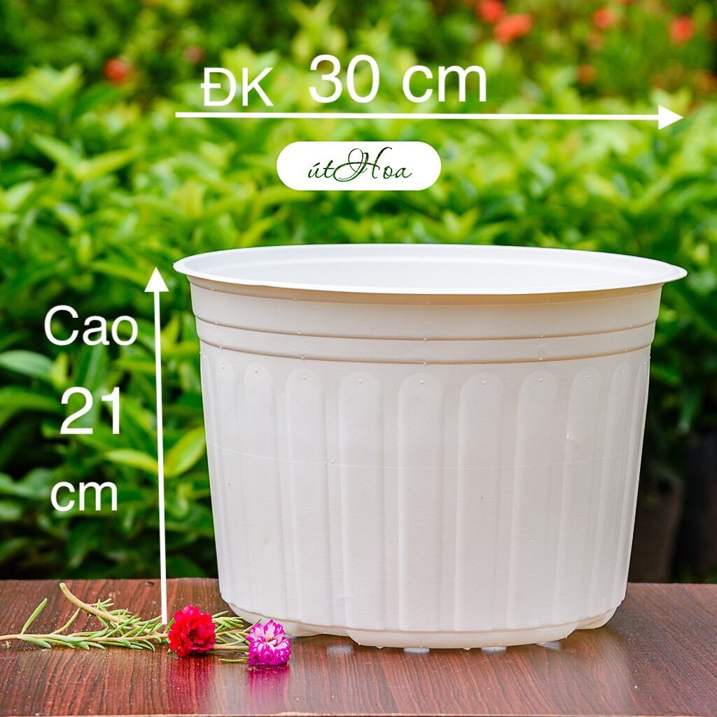 10 Chậu nhựa trắng trồng cây cở lớn T30 (30x21cm) nhựa chắc bền