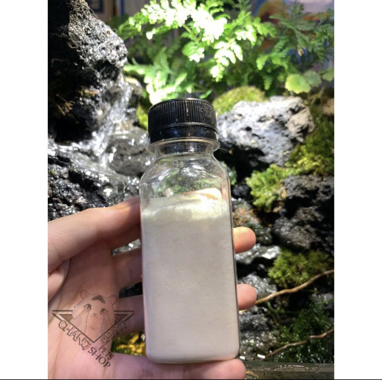 [HCM].gói 25k] Bột sữa dê chiết lẻ cho hamster sóc