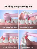 JIUSHANMEI | Đầu Đánh Răng Điện Có Nhạc Cho Trẻ 2-12 Tuổi