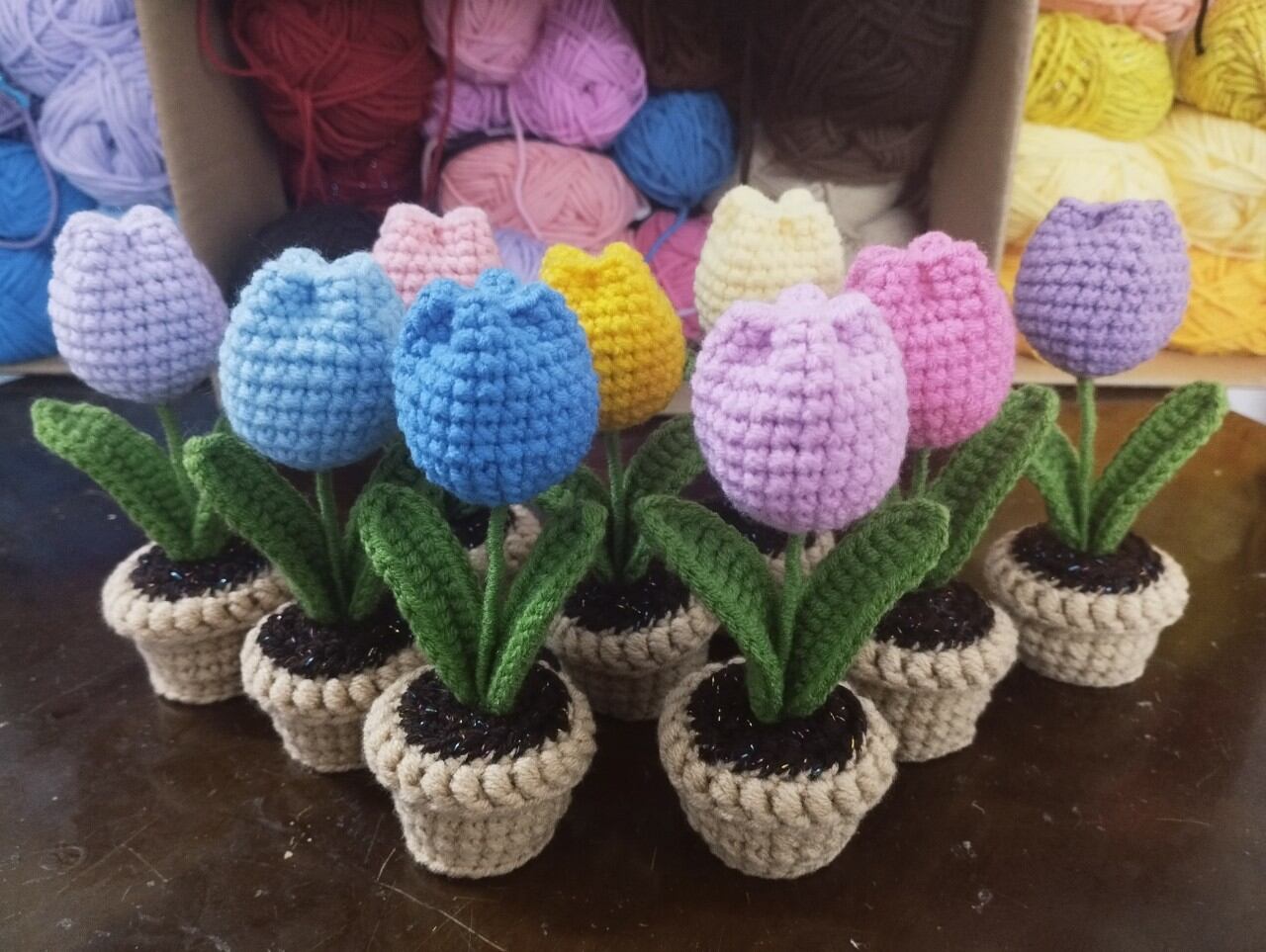 Chậu hoa tulip mini bằng len handmade