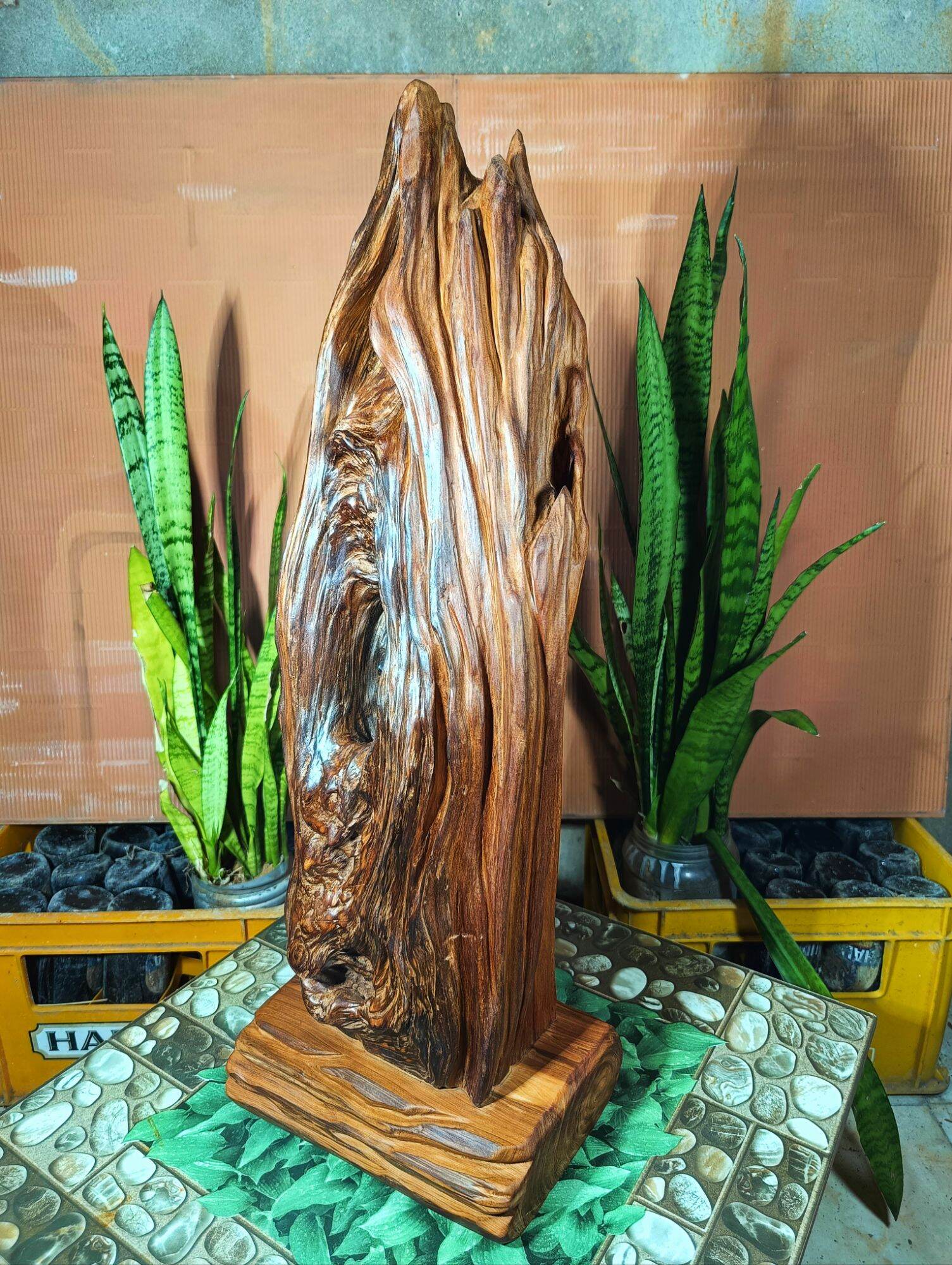 lũa gỗ thơm ngọc am đỏ hà giang