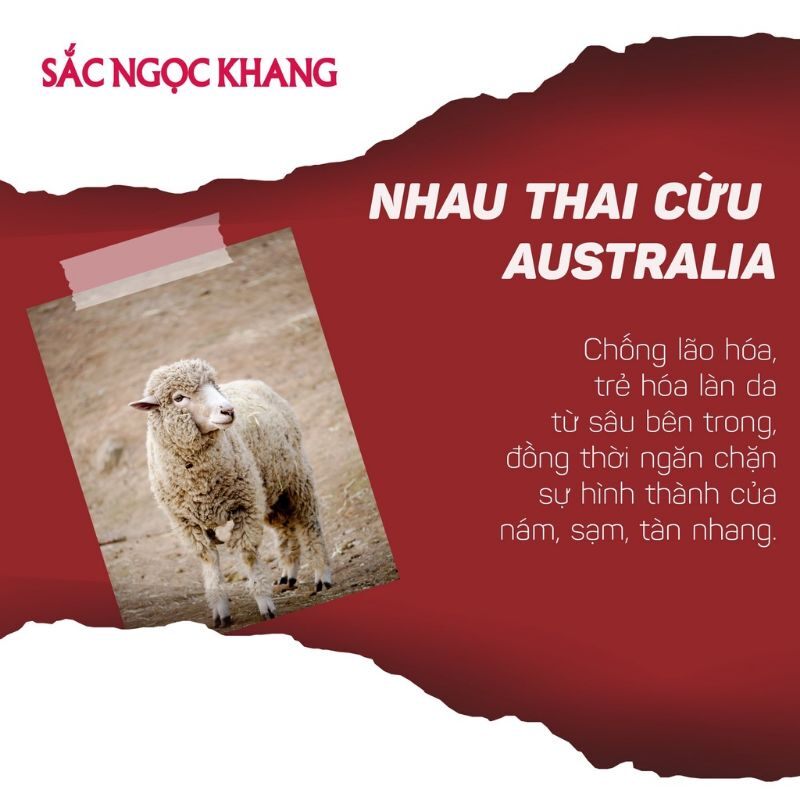 Viên uống sắc ngọc khang++( hộp 60 viên)