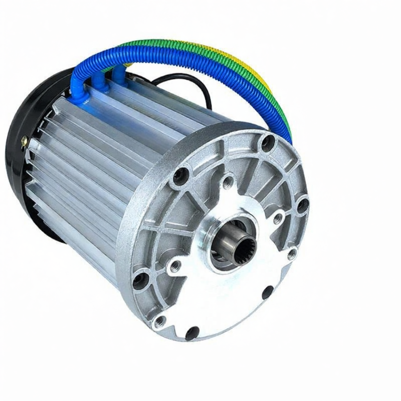 SHIYINBEIBI | High Speed Large Power DC Brushless Differential Motor for Electric Vehicles Giá 5,033,000 Đồng*Miễn phí vận chuyển
