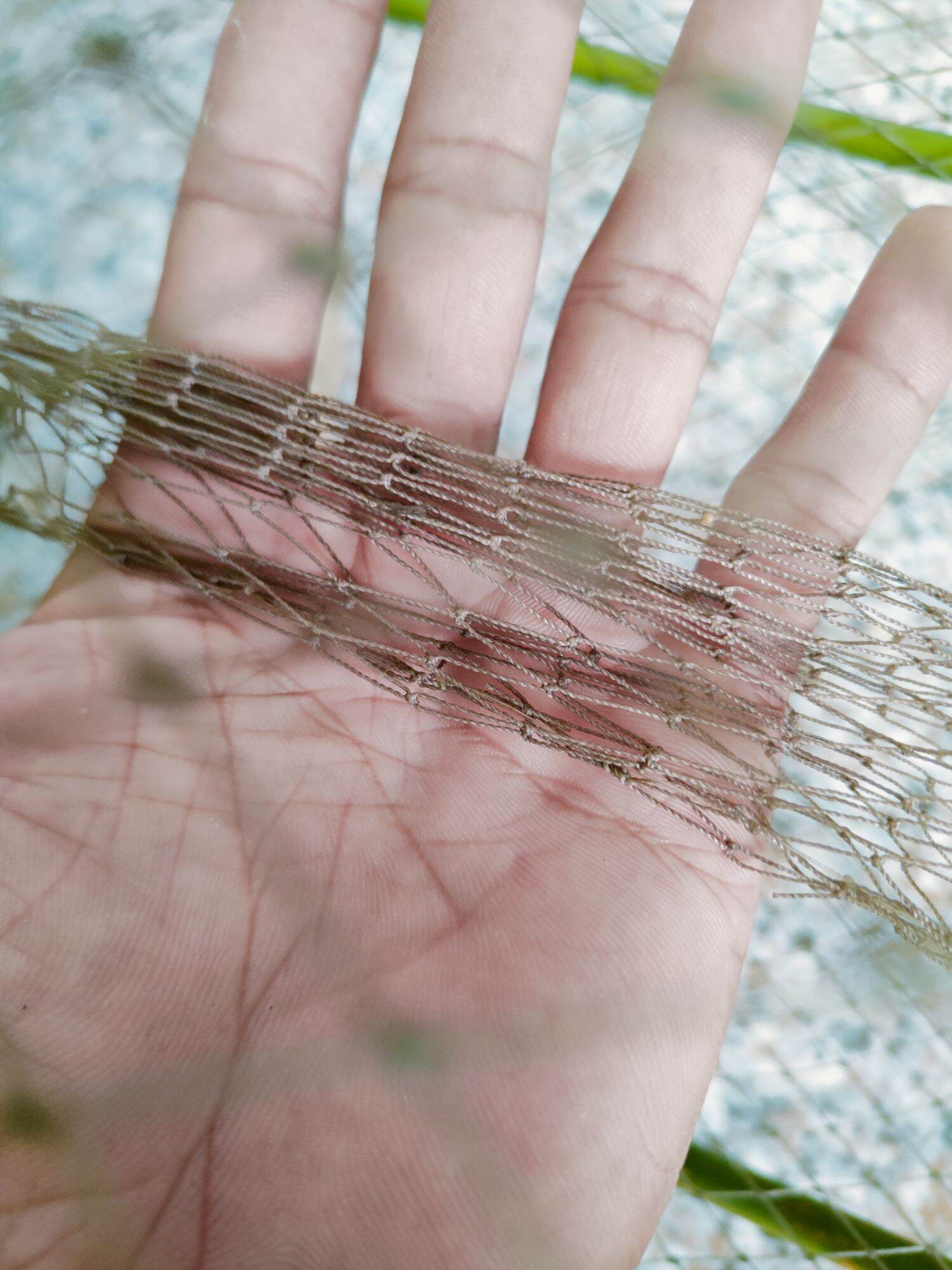 lợp cá lóc, combo 5 cái