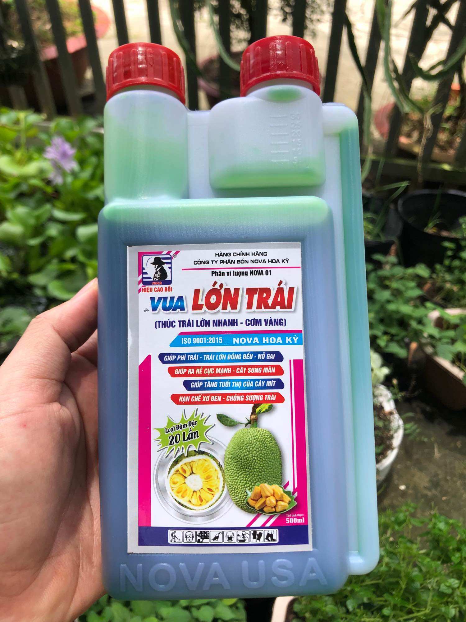 Phân bón lá Lớn trái mít